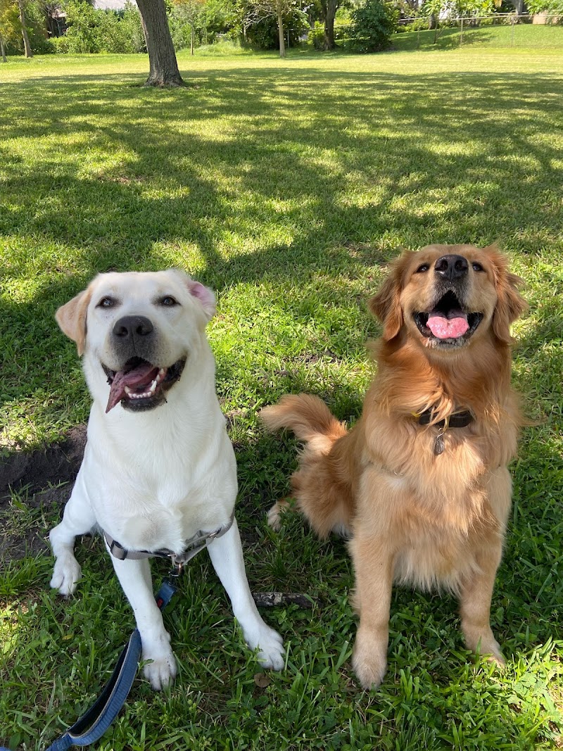 Tails and Trails image 2