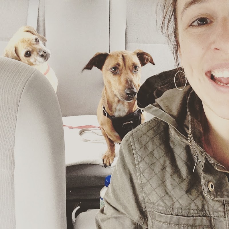 Tails and Trails image 5