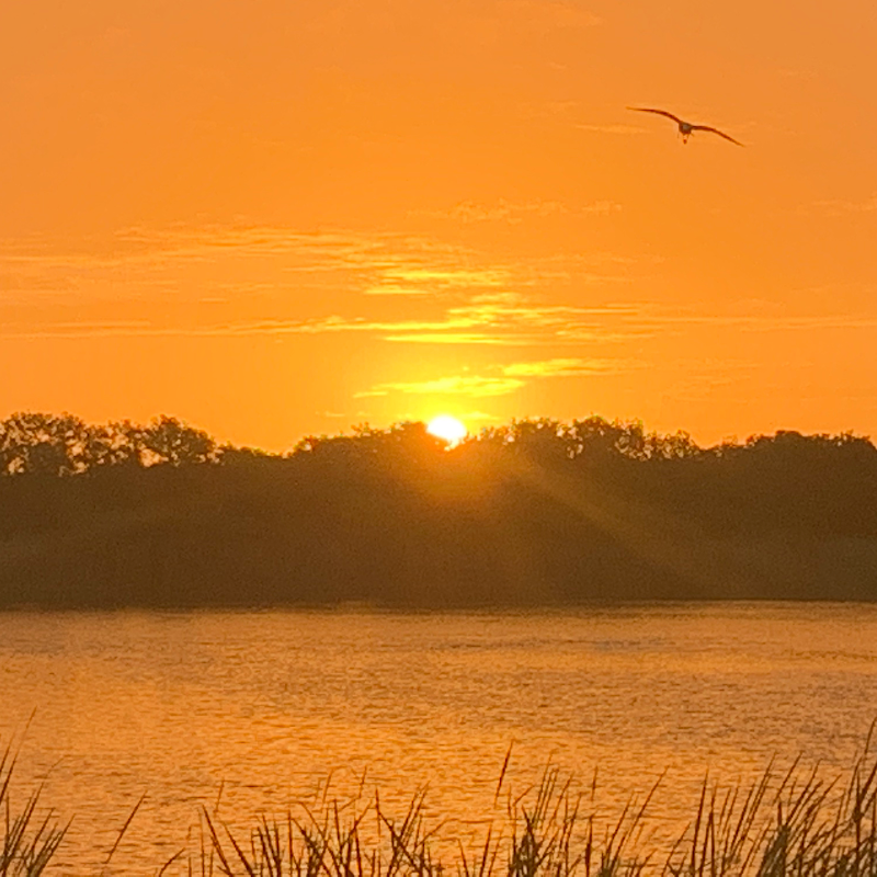 Alex Milov Psychotherapist image 2