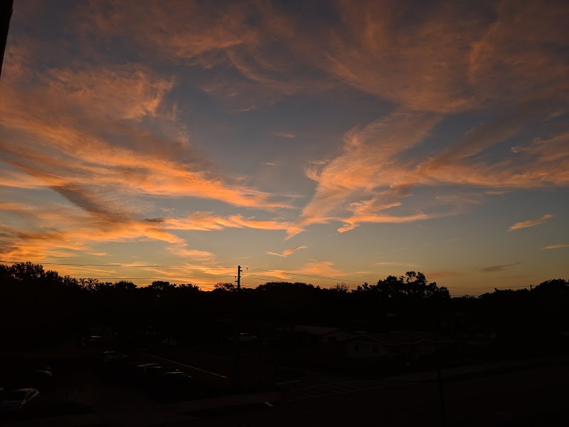 Tulane Condominiums image 5