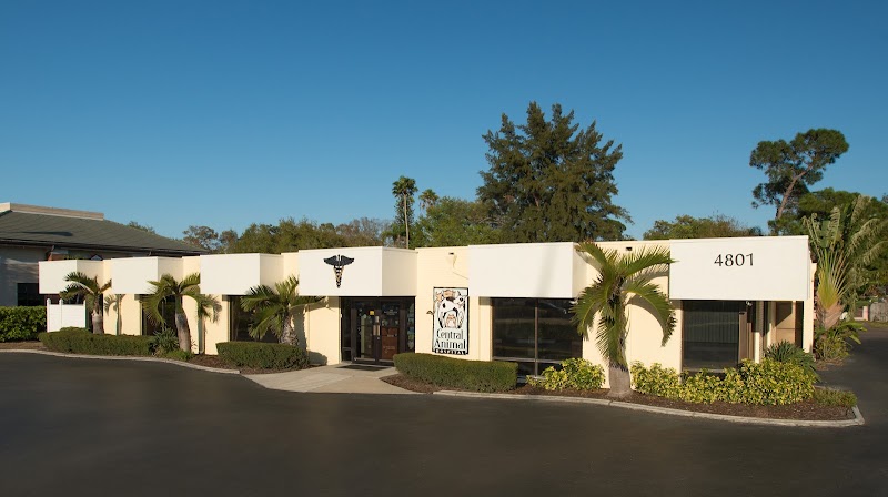 Central Animal Hospital image 1