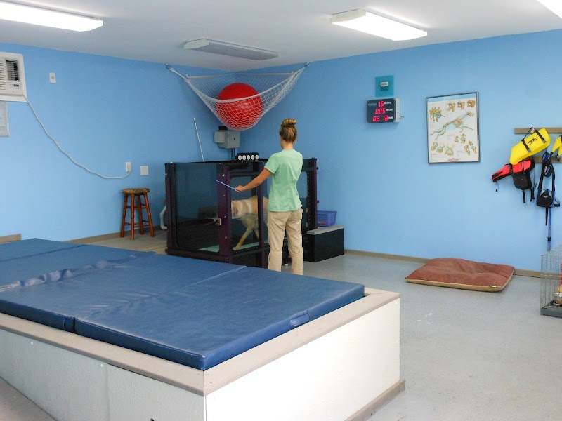 Tampa Bay K-9 Rehab Center image 1