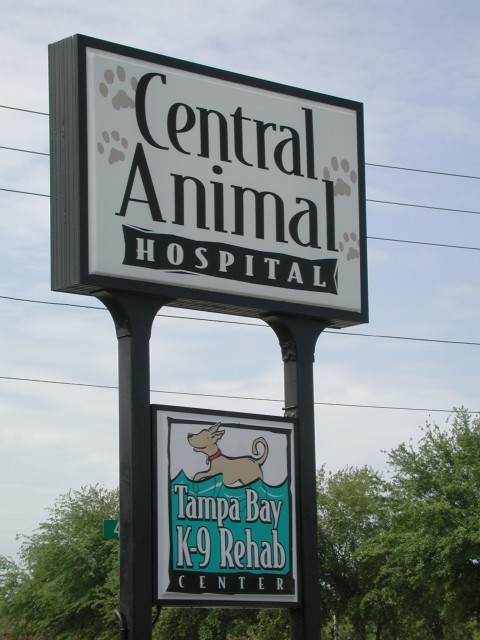 Tampa Bay K-9 Rehab Center image 2