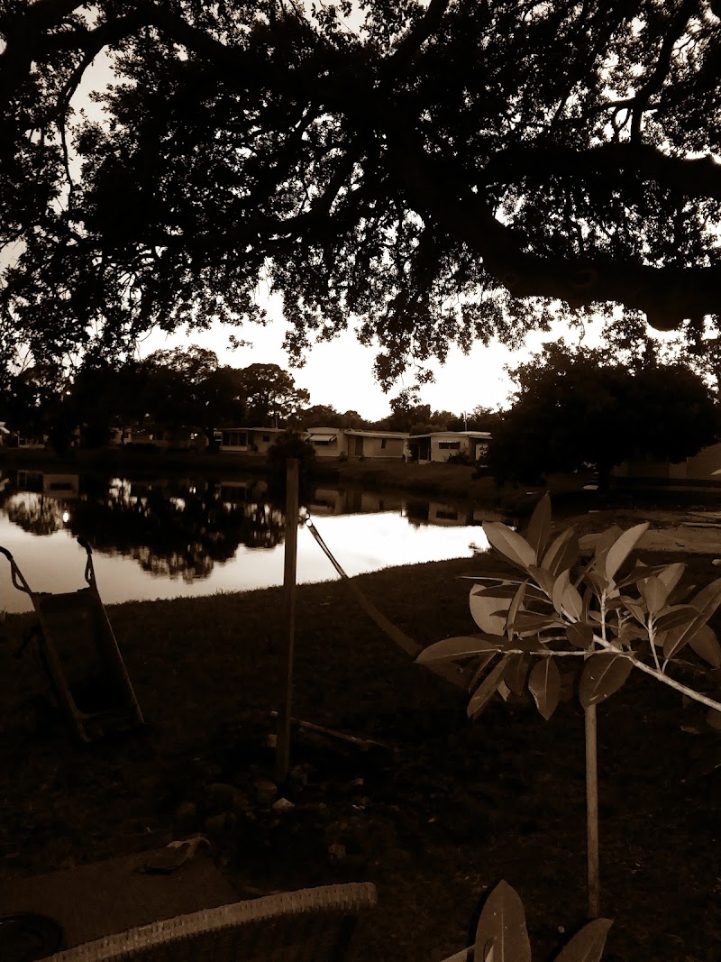 Venetian Mobile Home Court image 5