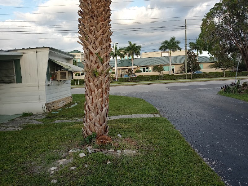 Treasure Village image 1