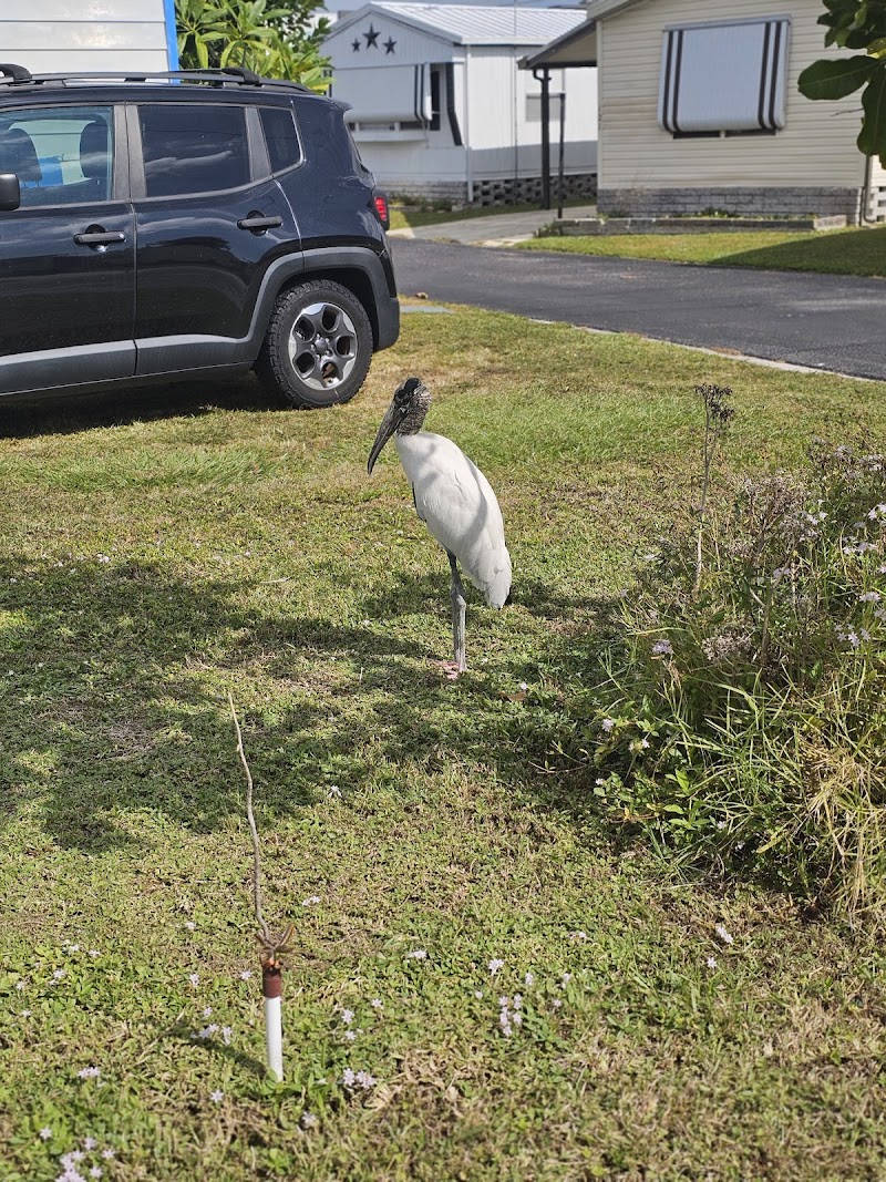 Treasure Village image 5