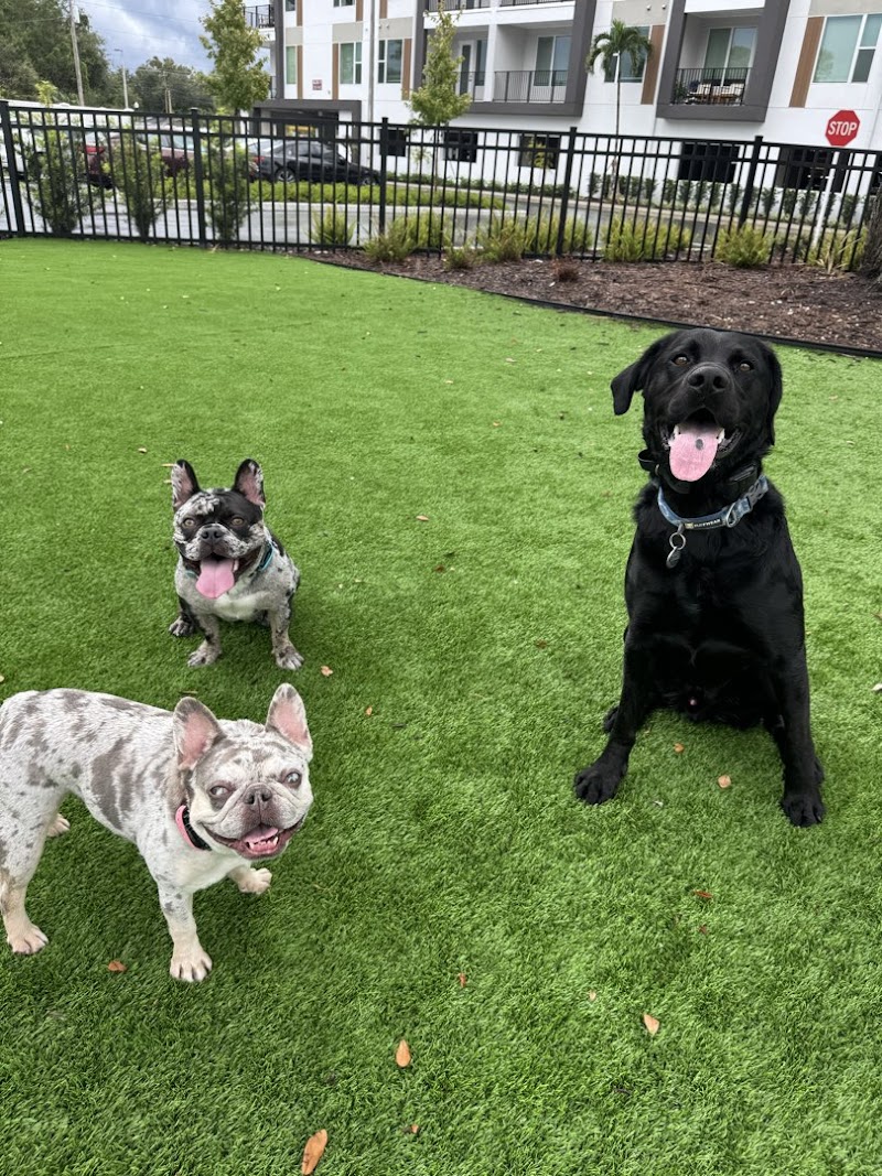 PCBA VET TECH SITTERS, LLC image 1