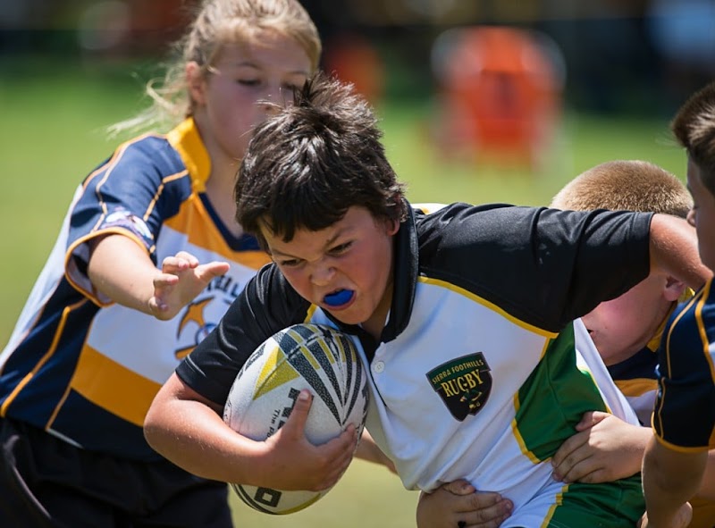 Pelican Rugby Academy image 2
