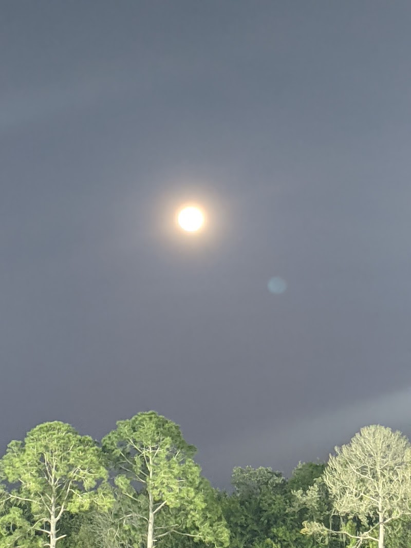 St. Pete Raiders Soccer Club image 4