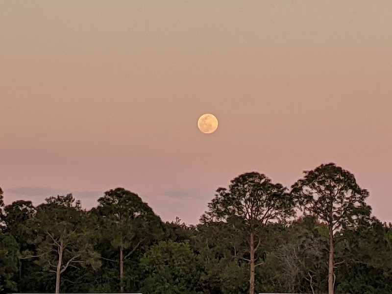St. Pete Raiders Soccer Club image 5