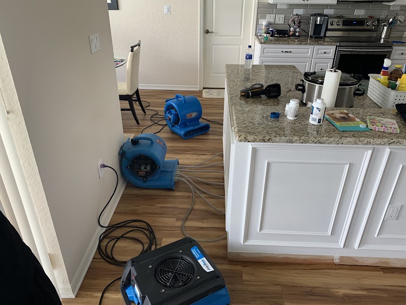 Classic Restoration &amp; Reconstruction image 3