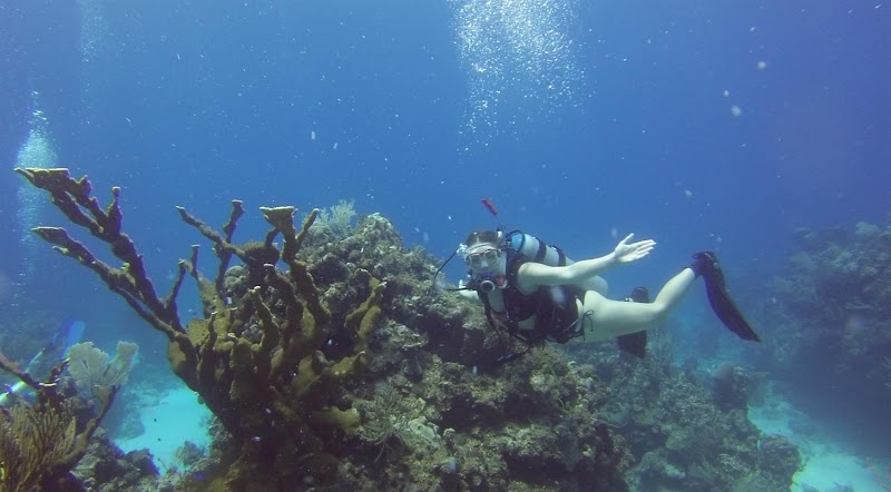 Canterbury School of Florida - Knowlton Campus image 1