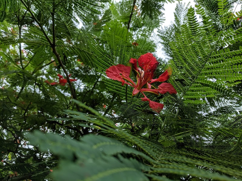 Shore Acres Mini Park image 3