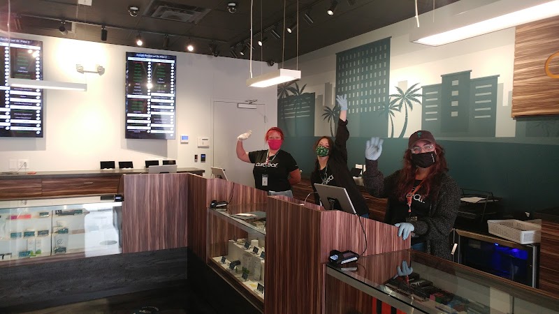 Curaleaf Dispensary North St. Petersburg image 5