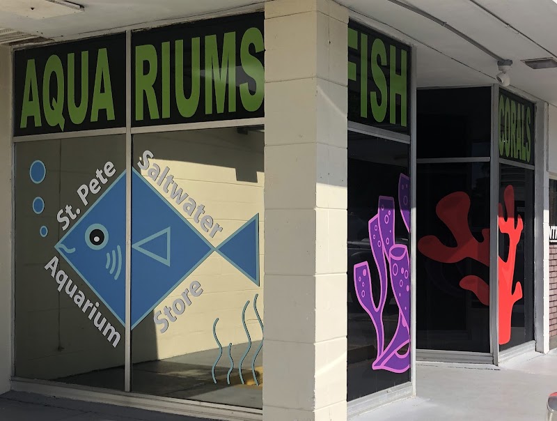 St. Pete Saltwater Aquarium Store Gallery Image