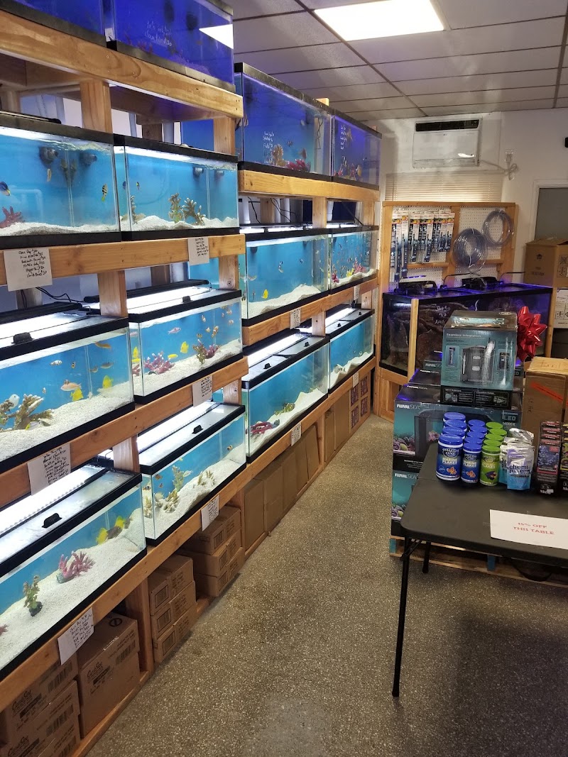 St. Pete Saltwater Aquarium Store Gallery Image