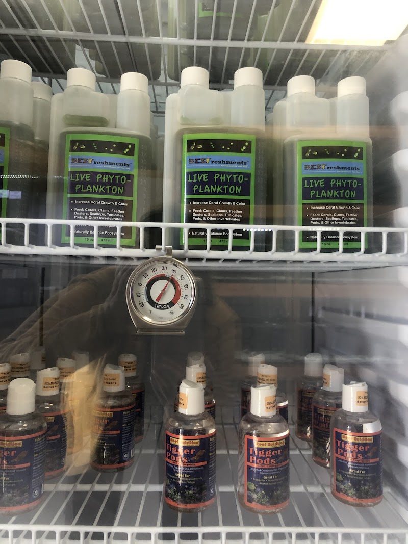 St. Pete Saltwater Aquarium Store Gallery Image