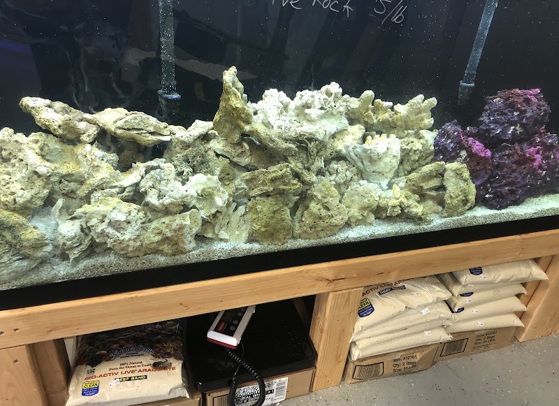 St. Pete Saltwater Aquarium Store Gallery Image