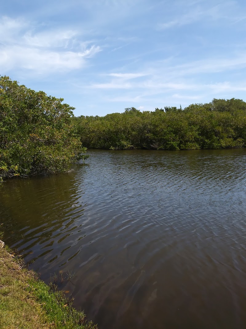 Northeast Park image 5