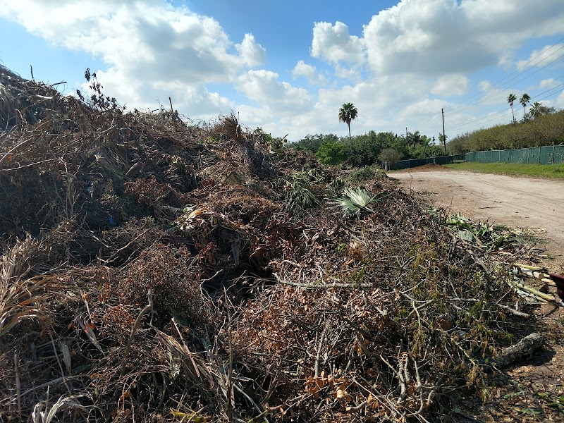 St. Petersburg Brush and recycling image 1