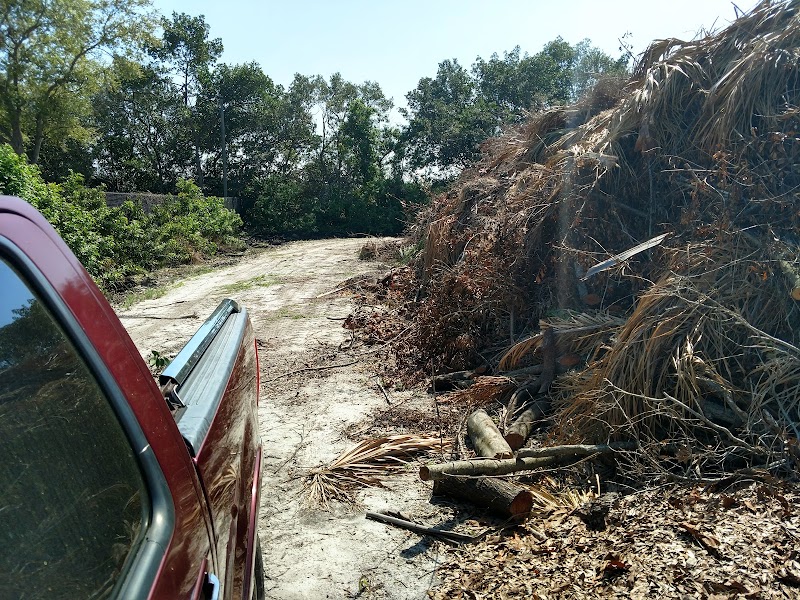 St. Petersburg Brush and recycling image 2