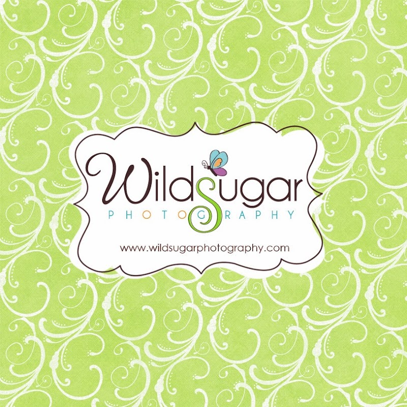 Wildsugar Photography Studio image 1