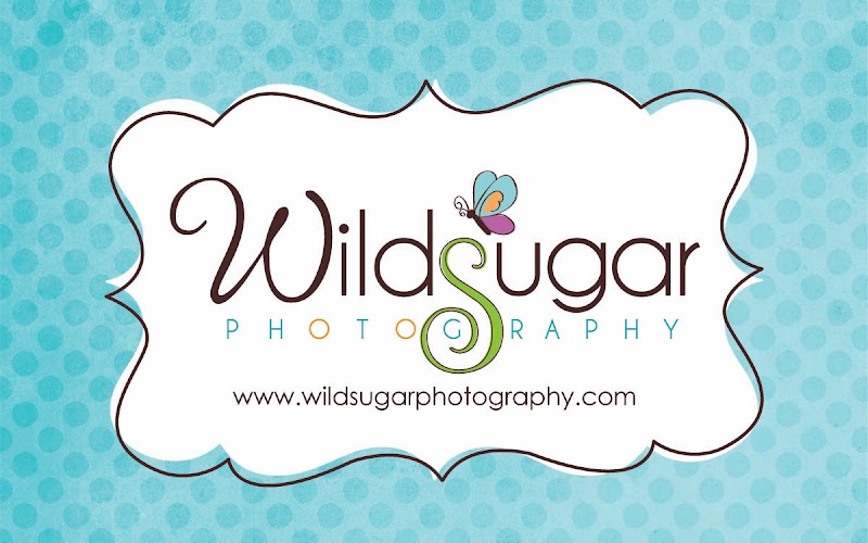 Wildsugar Photography Studio image 2