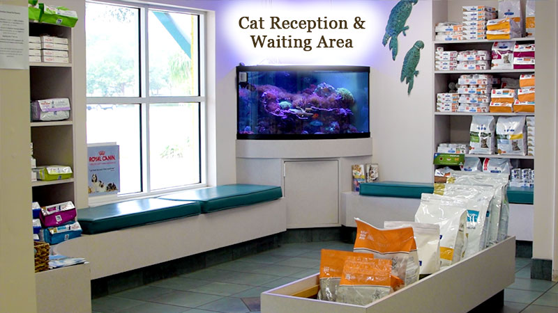 Northeast Animal Hospital image 2