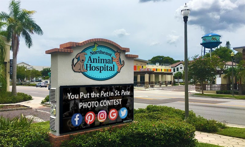 Northeast Animal Hospital image 4