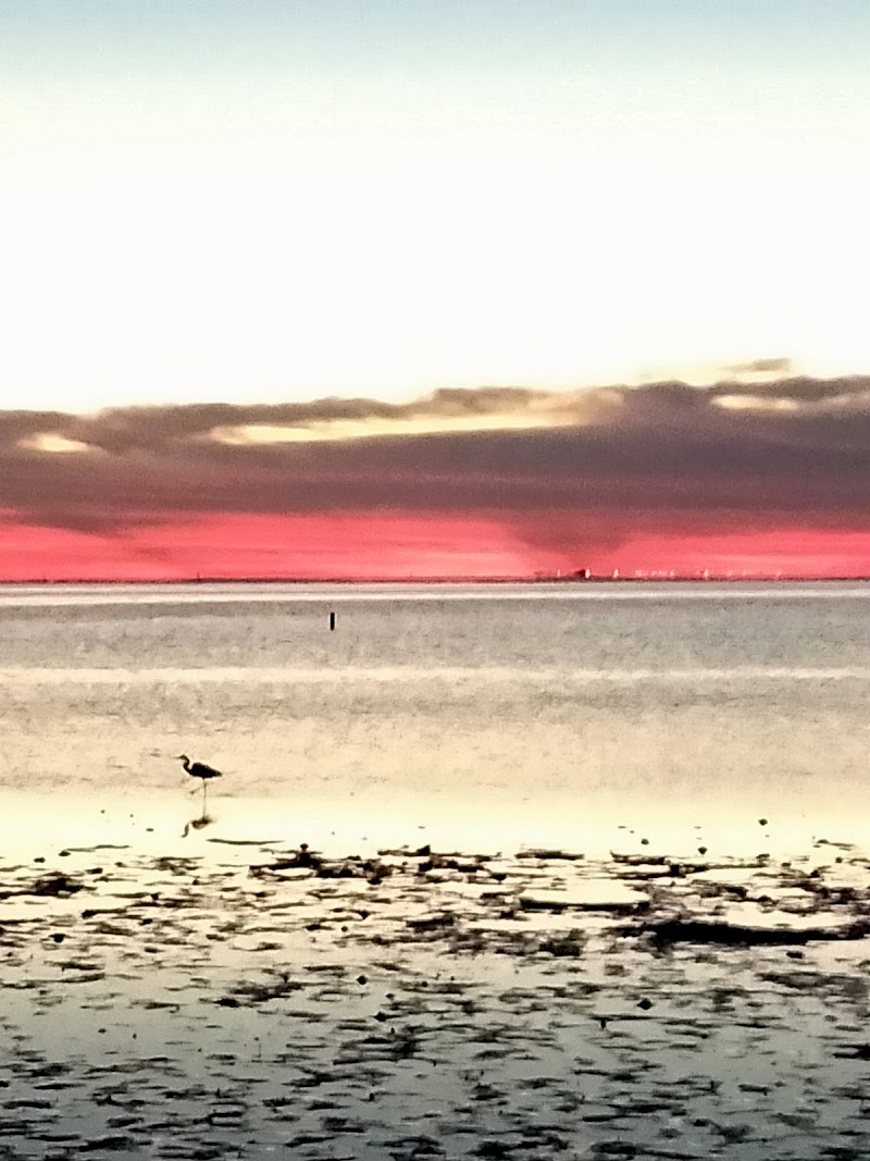 Exercise Zone image 4