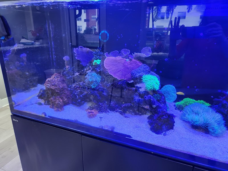 AllCare Clinic image 3