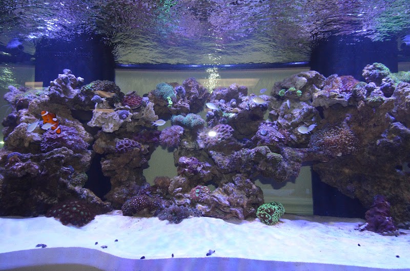 AllCare Clinic image 4