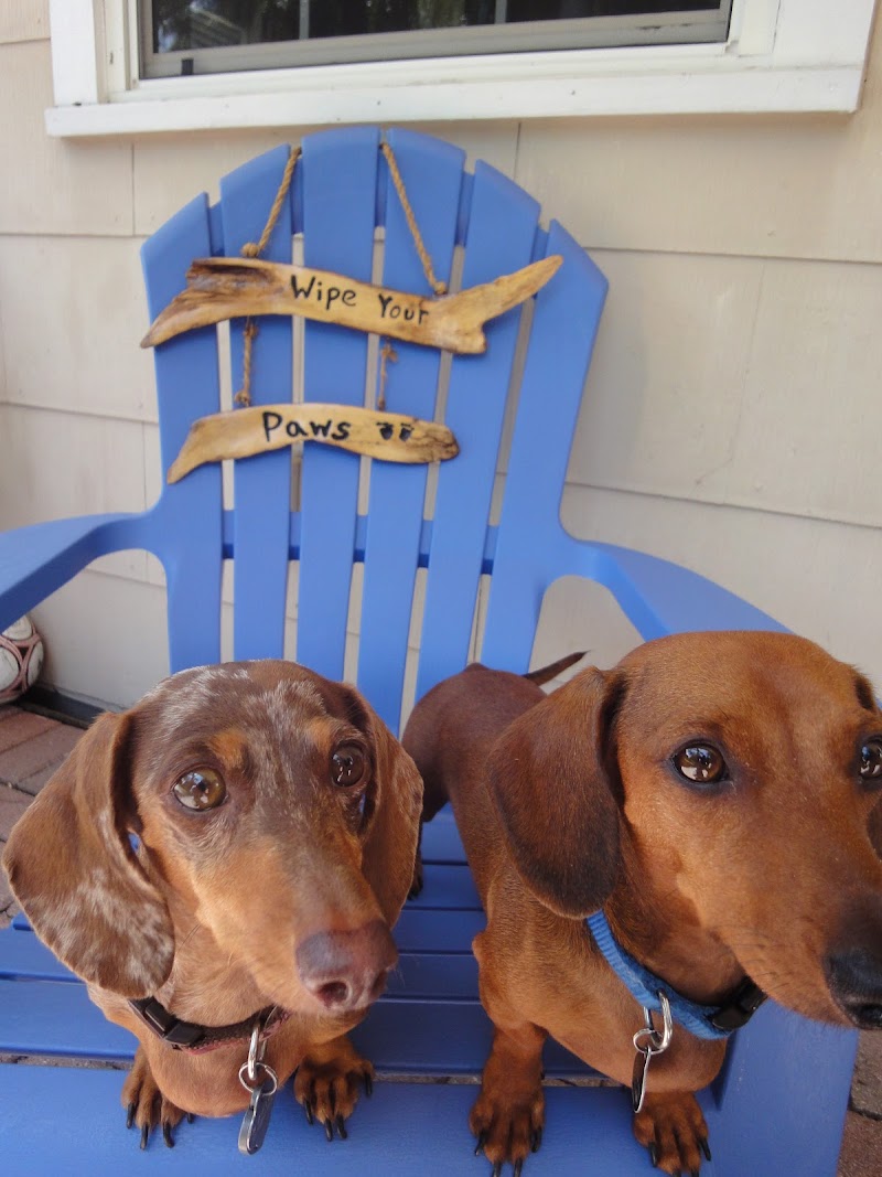 Splish Splash Window Cleaning St. Pete image 3