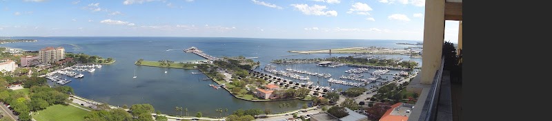 Splish Splash Window Cleaning St. Pete image 4