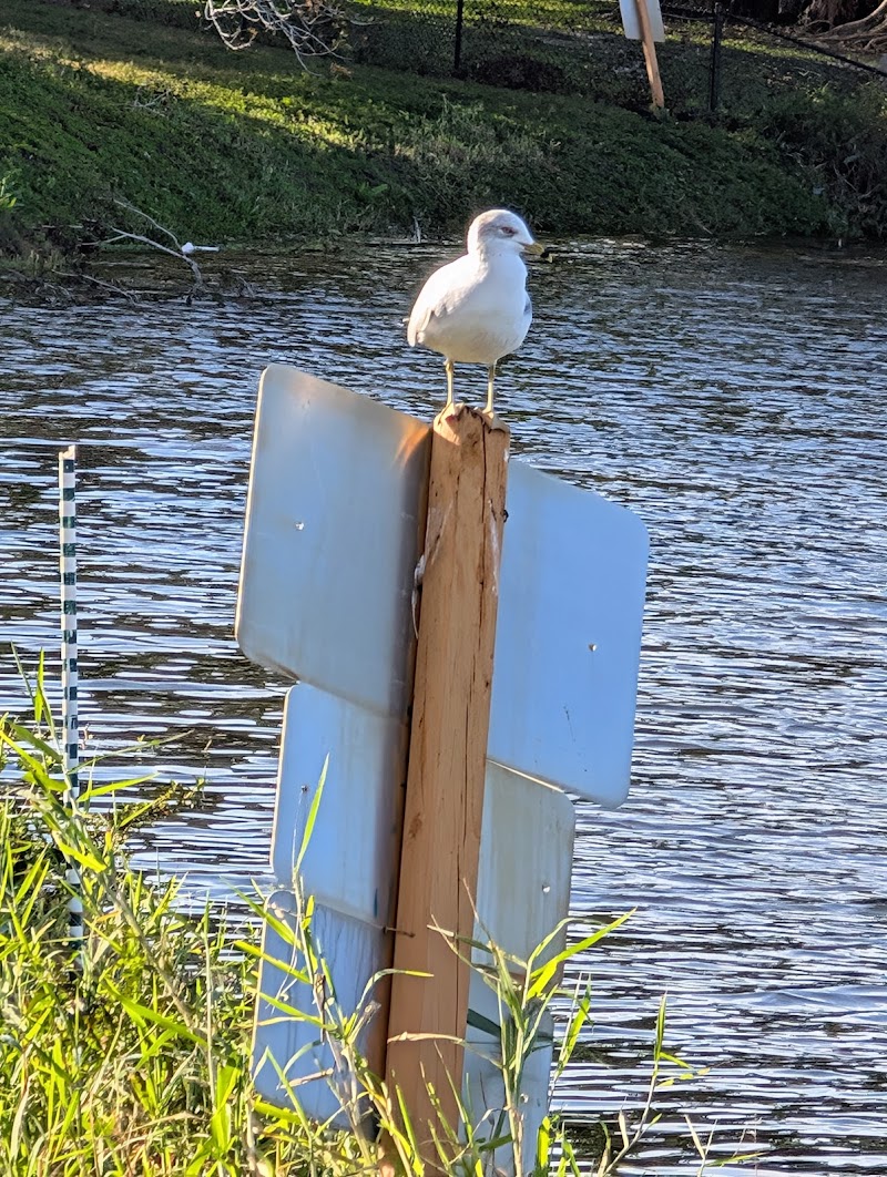 Crescent Lake Apartments image 1