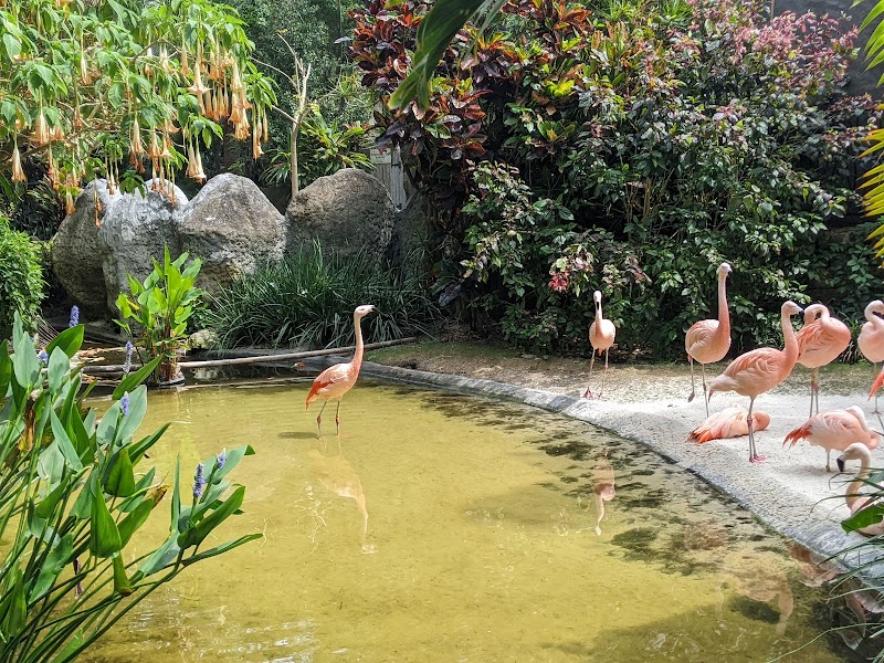 Sunken Gardens image 3