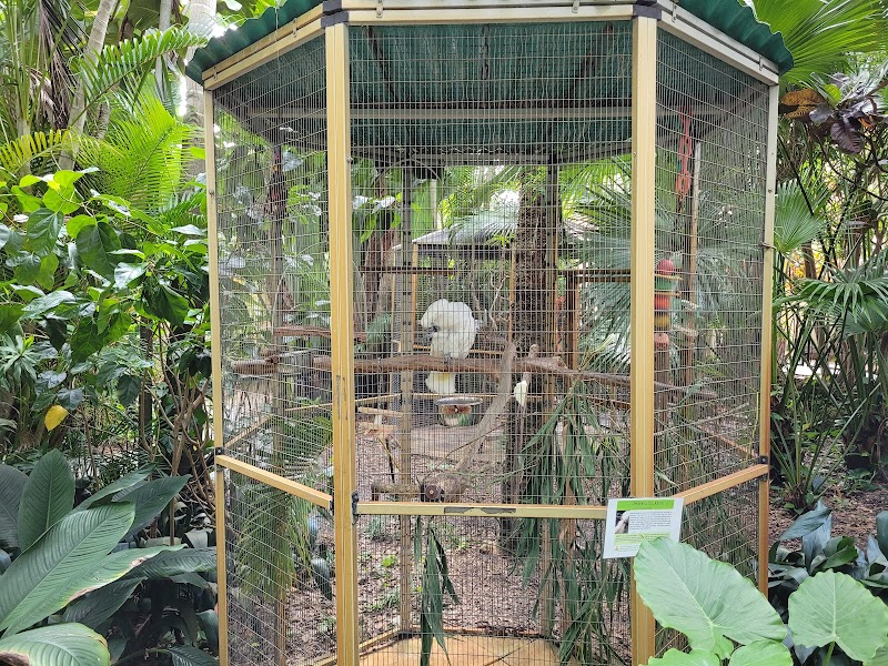 Sunken Gardens image 5