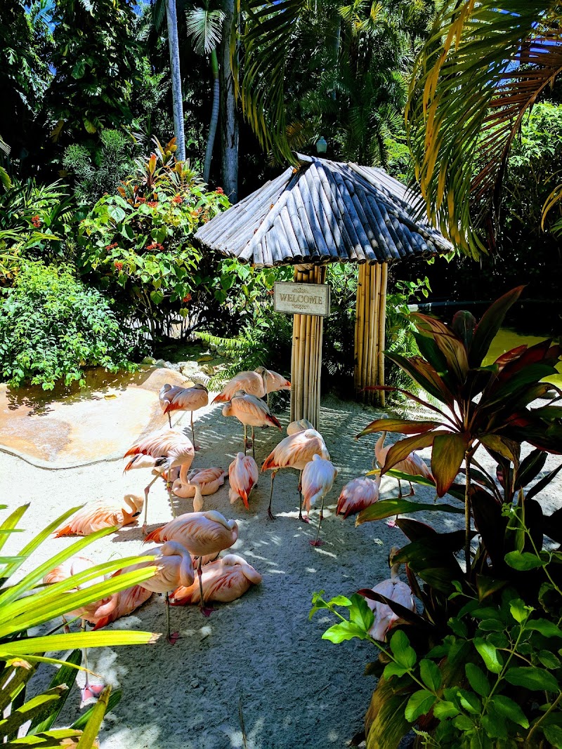 Great Explorations Children's Museum image 4