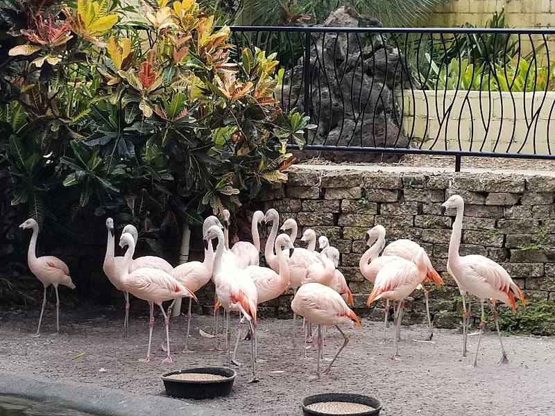 Great Explorations Children's Museum image 5