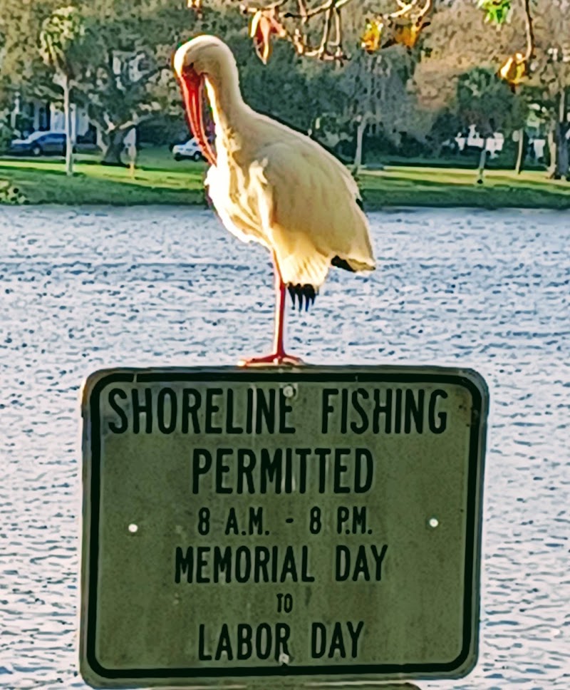 Myers Fine Art and Antiques Auction Gallery image 4