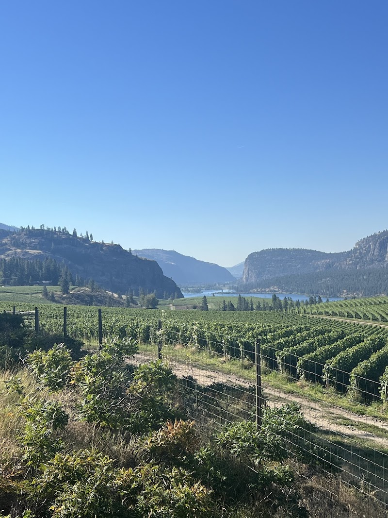 Remy Hospitality LLC image 2