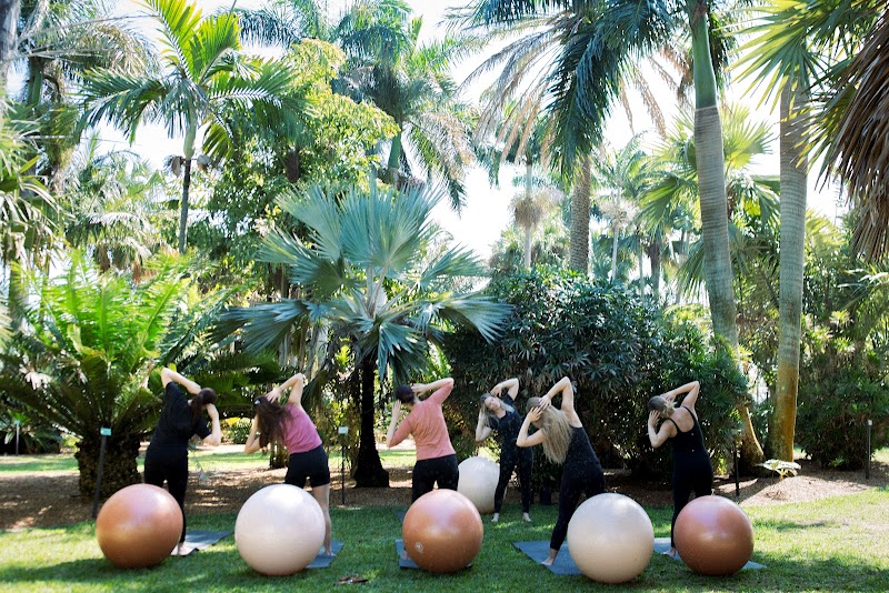 Florida Birth Movement image 1