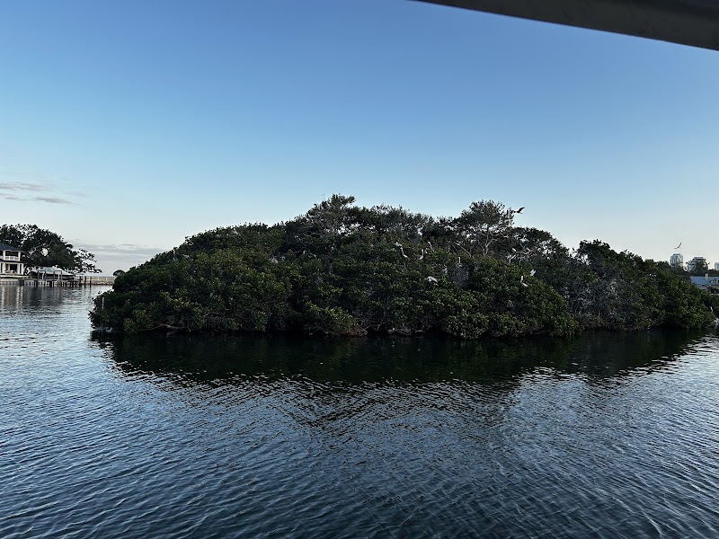 Coffee Pot Bayou Bird Preserve image 1