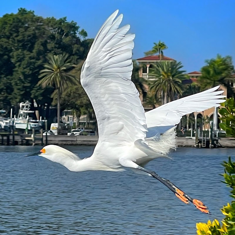 Coffee Pot Bayou Bird Preserve image 5