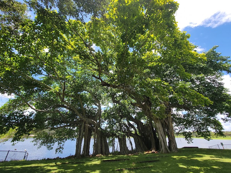 Crescent Lake Park image 5