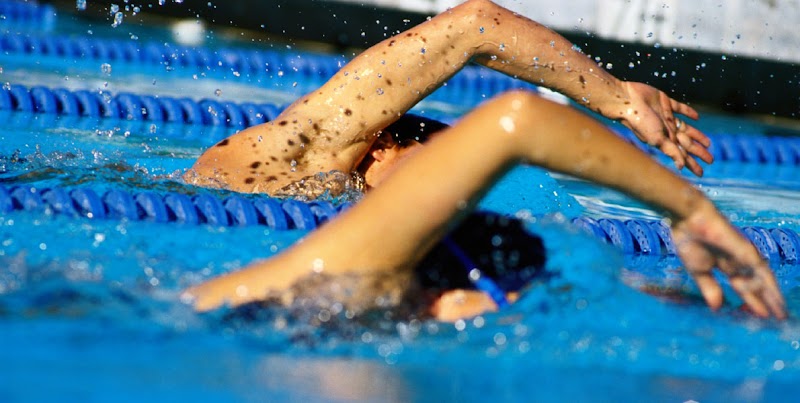 Alexander Orthopaedic Associates image 1