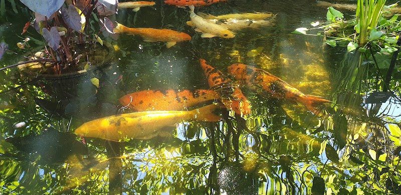 Rusty Anchor Motel image 5