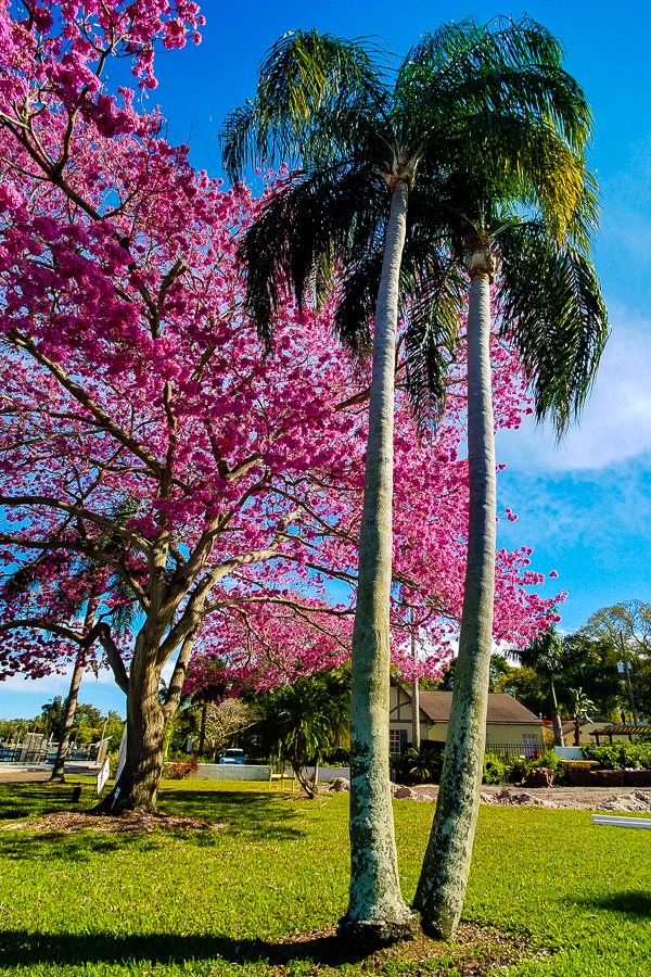 Granada Terrace Park image 2