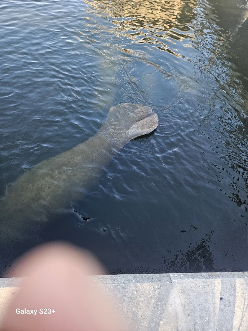 Granada Terrace Park image 4