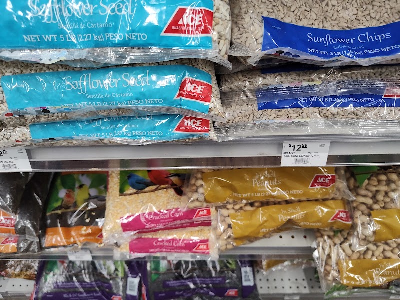 Vision Ace Hardware image 5